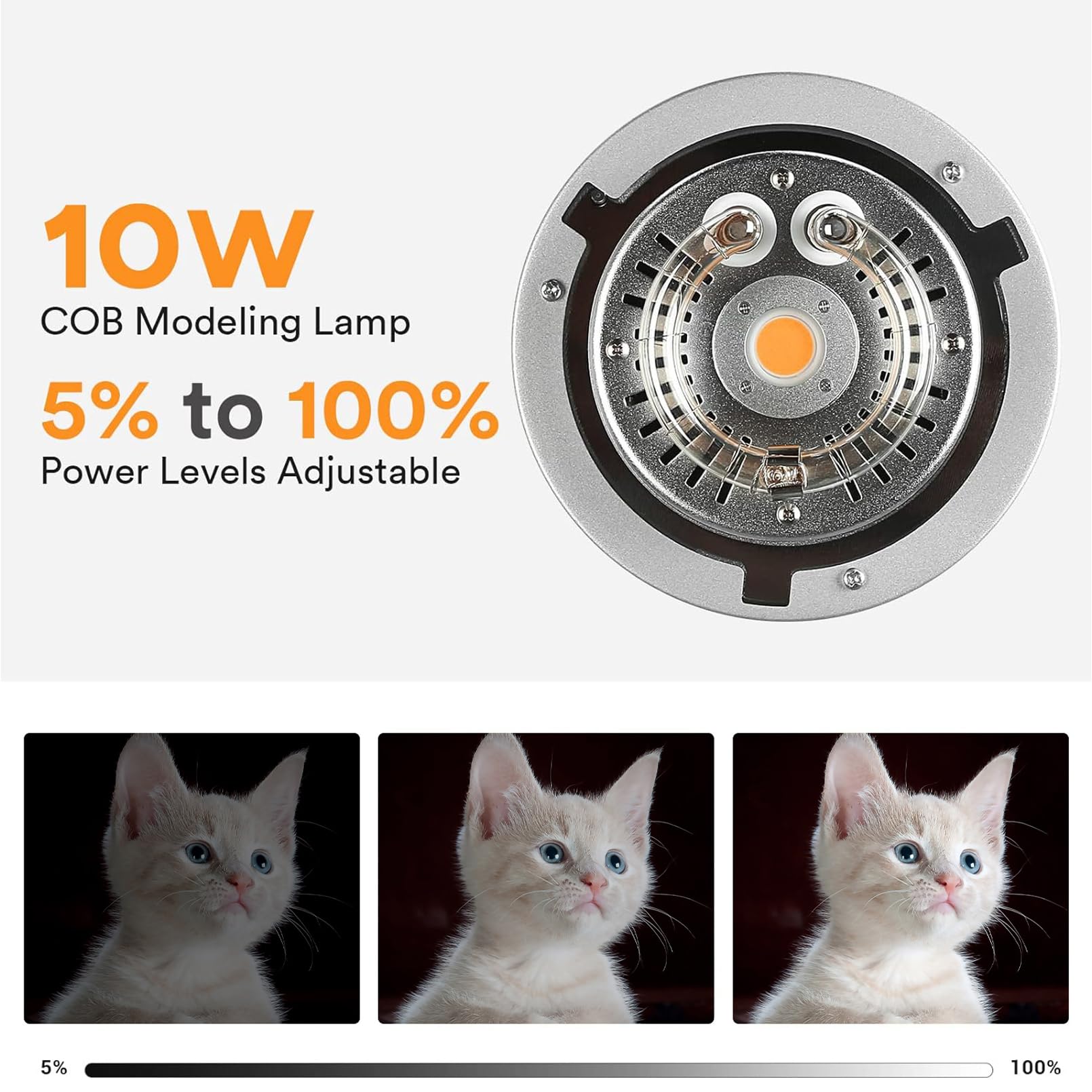 Godox MS200V Studio lumière st - Photography Lighting For Portraits avis et prix